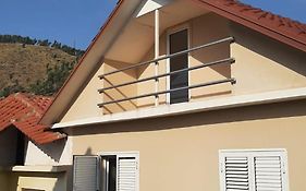 Andrea House